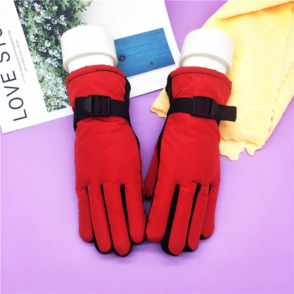 Winter Must Windproof Ski Glov - đánh giá và giá Ski Glove Waterproof